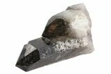 Dark Smoky Quartz Crystal - Brazil #84854-1